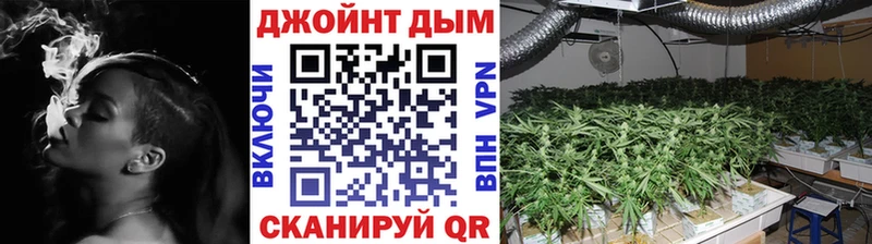 Купить закладки  Краснозаводск  Каннабис THC 21% 